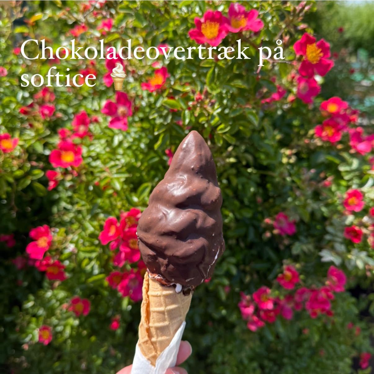 Skippers Favorit